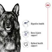 Royal Canin Poodle Puppy Dry Dog Food 3kg image