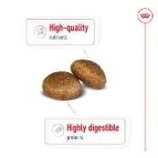 Royal Canin Rottweiler Adult Dry Dog Food 12kg image