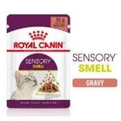 Royal Canin Sensory Smell Wet Cat Food in Gravy 85g image