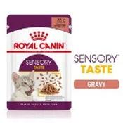 Royal Canin Sensory Taste Wet Cat Food in Gravy 85g image