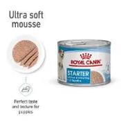 Royal Canin Starter Mother &amp; Babydog Wet Dog Food 195g