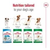 Royal Canin Yorkshire Terrier Puppy Dry Dog Food 1.5kg image