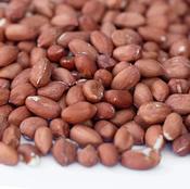 Wild Bird Peanuts 25kg image
