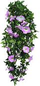 Mica Petunia Hanging - Pink