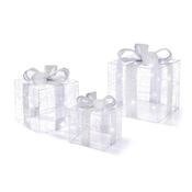 3pc BO Lit Silver Parcels with