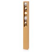 10x60mm Champagne Gold Multi