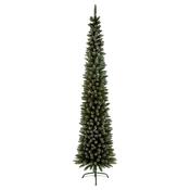 2M Pencil Pine Snow Tipped