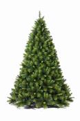 8' AMSTERDAM PINE