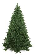 10' PROVIDENCE FIR