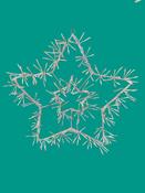 90cm- Twinkling Starburst (Multi-Colourd)