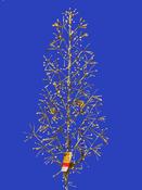 1.2M Twinkling Tree