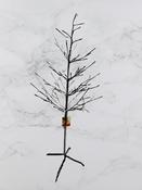 1.2M - Bergen Sunset Tree