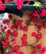 Blossom Fuchsia 187cm
