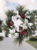 50cm - White Poinsettia