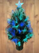 60cm - High Land Tree