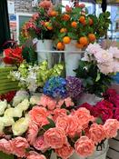 Artificial Stems From €3.99