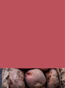 Kerr's Pink