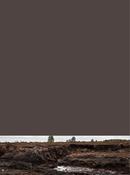 Bogland