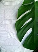 STOF FRANCE Minsk Cushion