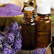Irish Field Lavender image