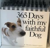 365 Days With My Faithful Dog