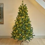 7ft InLit King Pine image