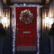 880 LED Door ClusterLights - Cool White image