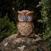 Blinkin' Owl