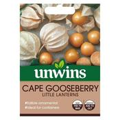Cape Gooseberry Little Lanterns image
