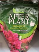 Empathy After Plant Ericaceous image