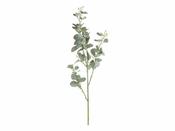 Fleur Branch w. leaves image