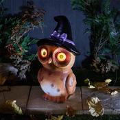 Glow Eye Owl Witch