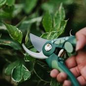 GMT Traditional Bypass Secateurs image