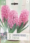 HYACINTHUS EF PINK PEARL x3 image