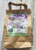 LANDSC BAG ALLIUM LF MIX x40 image