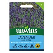 Lavender Blue Spear