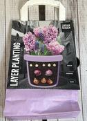 LAYER PLANTING PURPLE x25 image