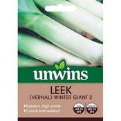 Leek (Vernal) Winter Giant 2 image