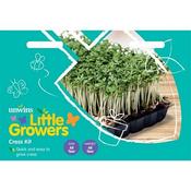 Little Growers Cress Kit image
