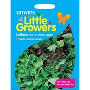 Little Growers Lettuce Cut n' come again image