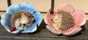 Petal Hedgehog mix 6cm