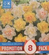 PROMO NARCISSUS DOUBLE MIXED COLOURS x8 image