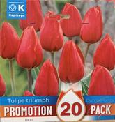PROMO TULIPA TRIUMPH RED x20 image