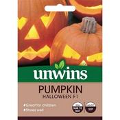 Pumpkin Halloween F1 image