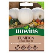 Pumpkin Polar Bear F1 image