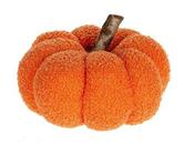 Pumpkin Teddy H13D19 image