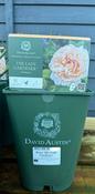 Rosa 'The Lady Gardener' image