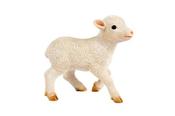 Standing Lamb
