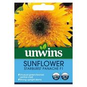 Sunflower Starburst Panache F1