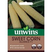 Sweet Corn Alliance F1 image